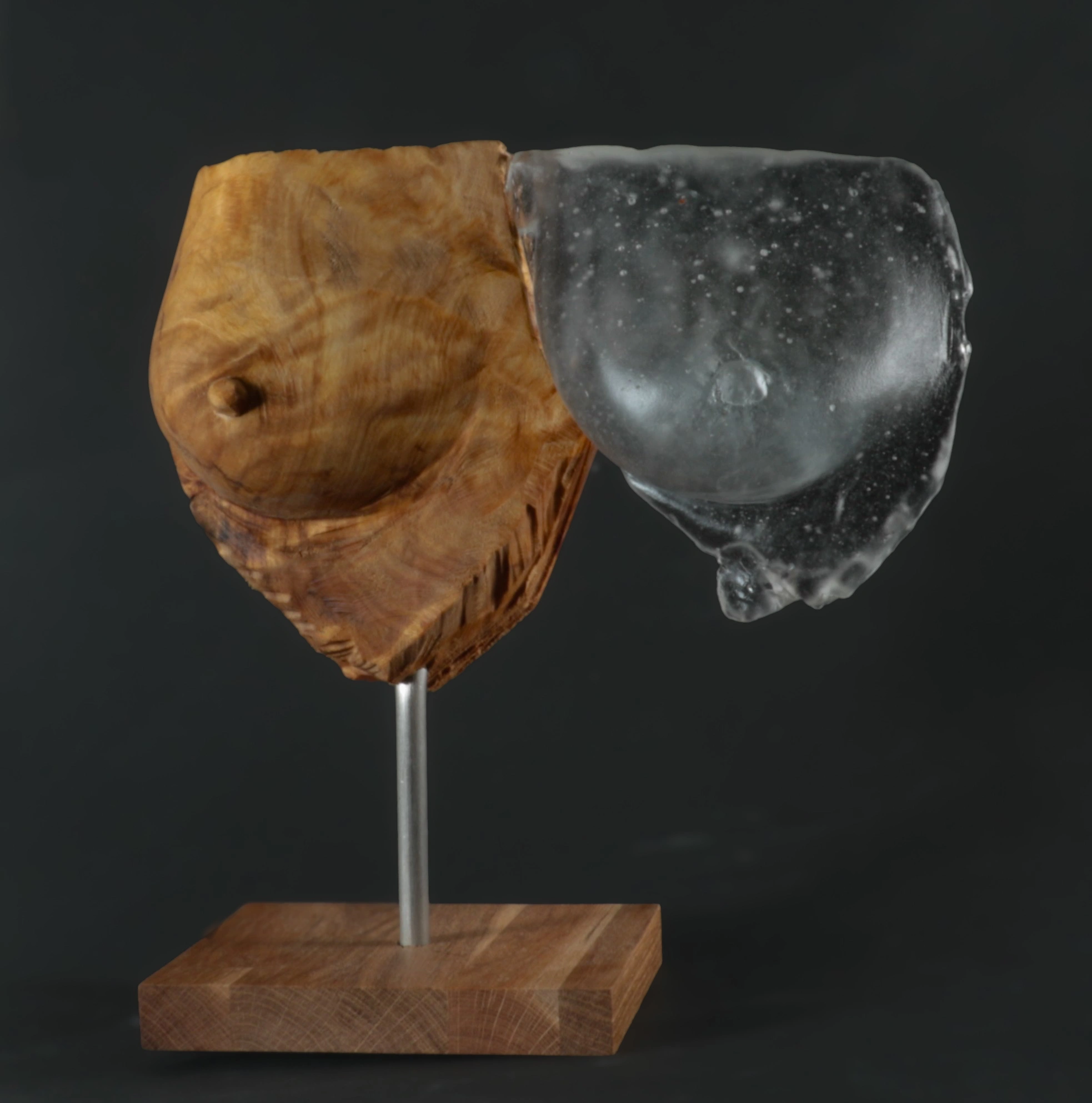 Cœur de Glass — vue générale